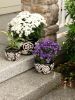 Black Floral Ceramic Planter Set