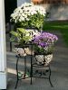 Black Floral Ceramic Planter Set