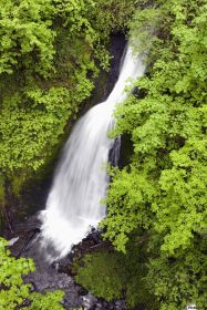 Oregon Water Fall